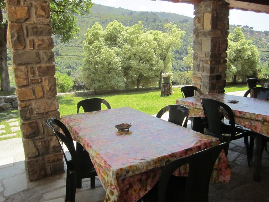 Agriturismo Turlin Vallebona Exterior photo
